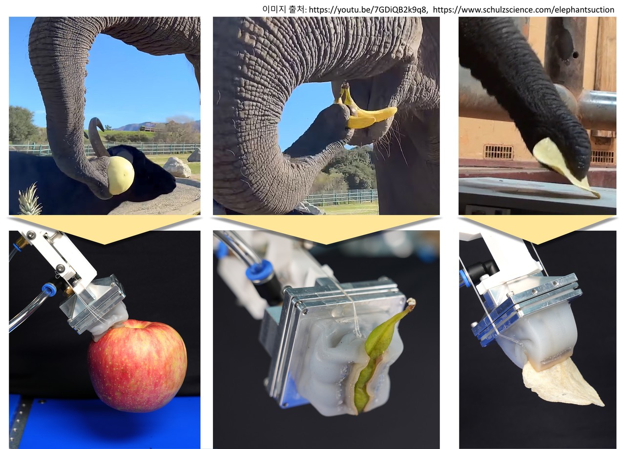 코끼리와 그리퍼가 다양한 물체를 파지하는 모습 비교 장면.