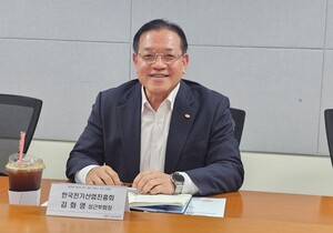 [인터뷰] - 김화영 한국전기산업진흥회 상근부회장 - 뉴스 썸네일 이미지