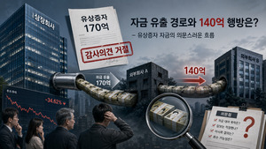 셀루메드 유상증자금 140억원 어디로 갔나...프라임코어·DHX 거래구조 논... - 뉴스 썸네일 이미지