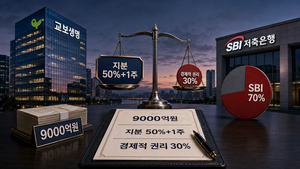 9000억 들여 경영권 확보했지만 경제적 권리는 30%...교보생명, 세부 질의... - 뉴스 썸네일 이미지